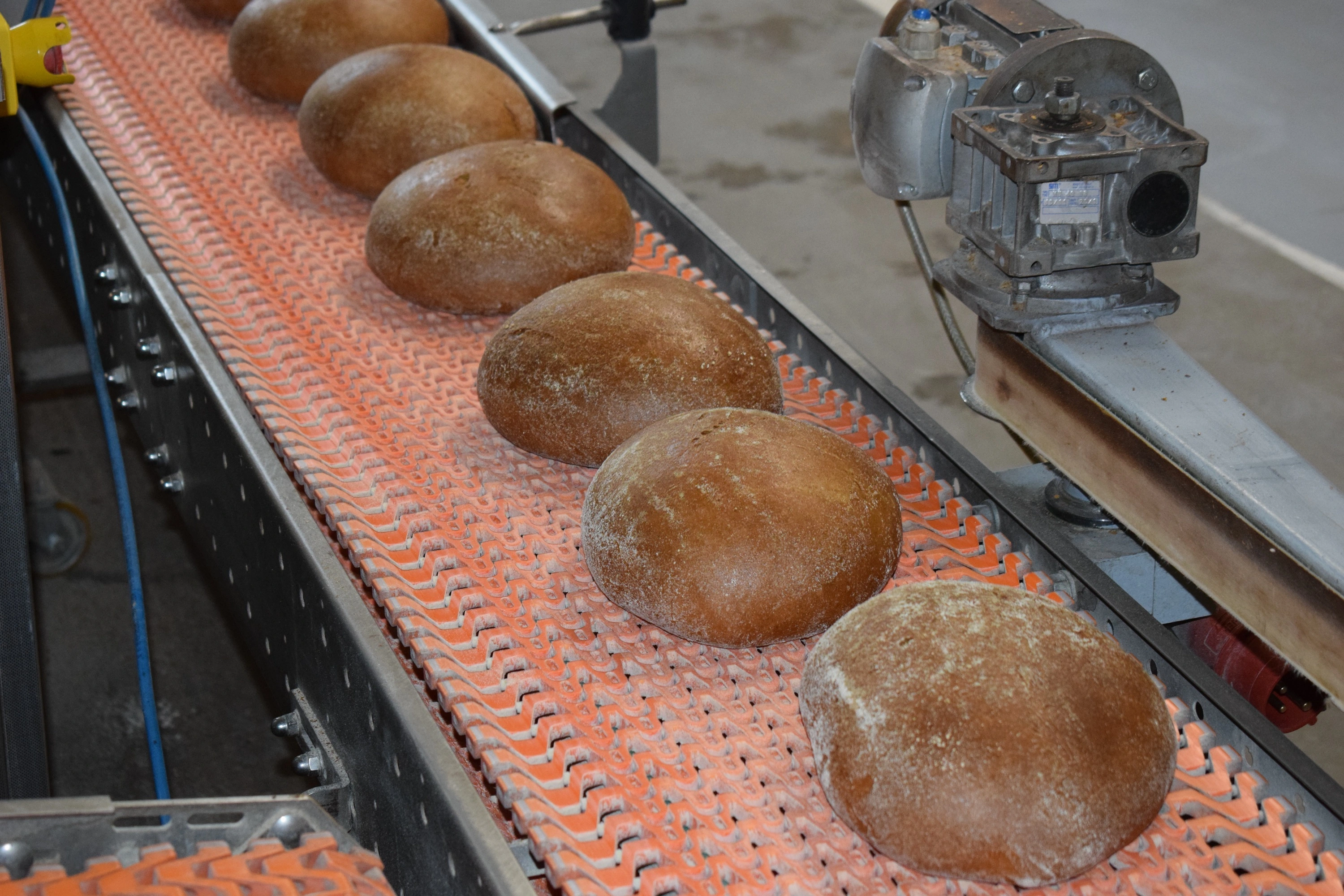 В Рязани хлебозавод №3 исключён из программы приватизации на 2025 год