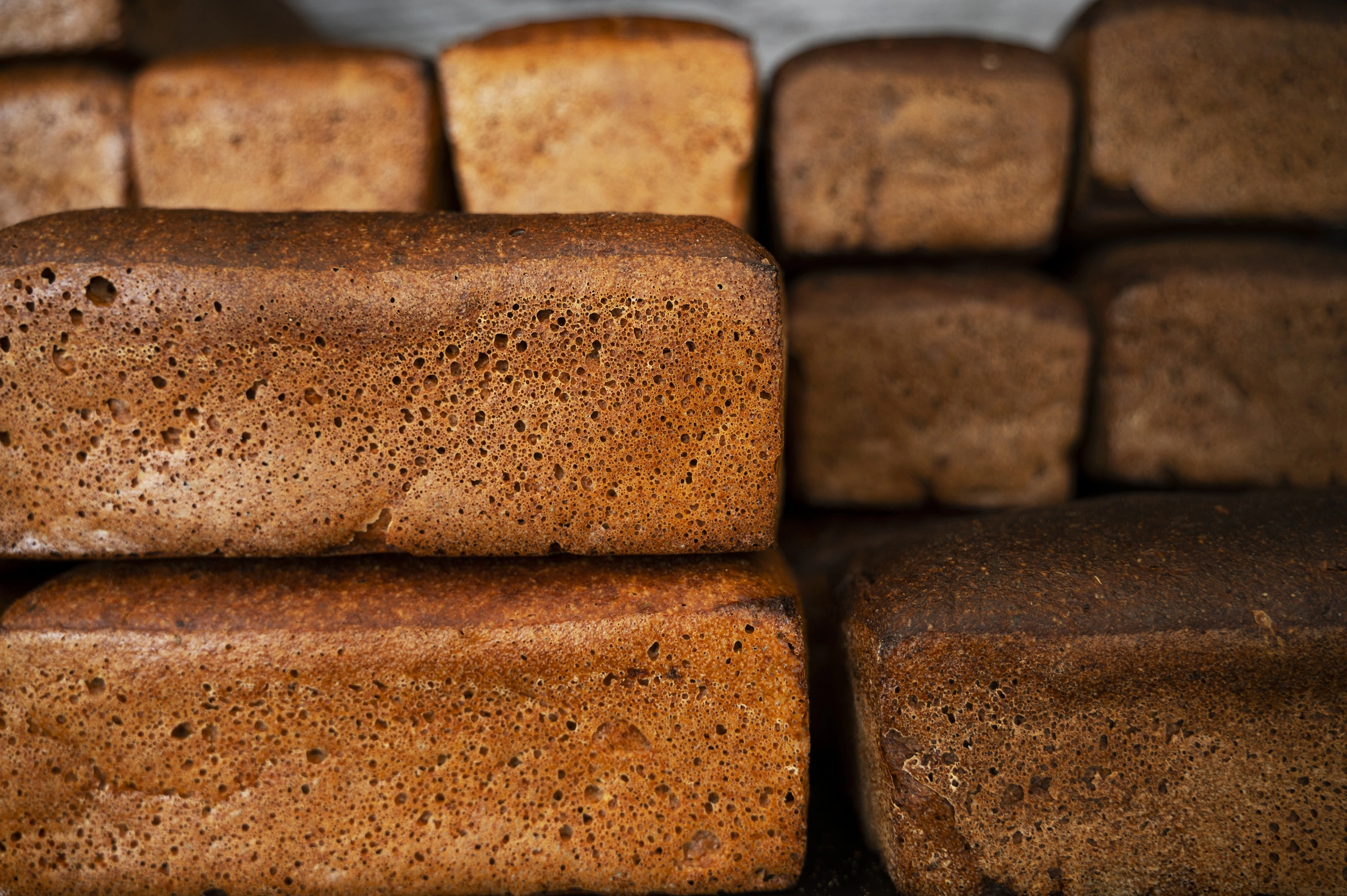 Хлеб «кирпич», папоротник и черемуха: какие предпочтения в еде у красноярцев