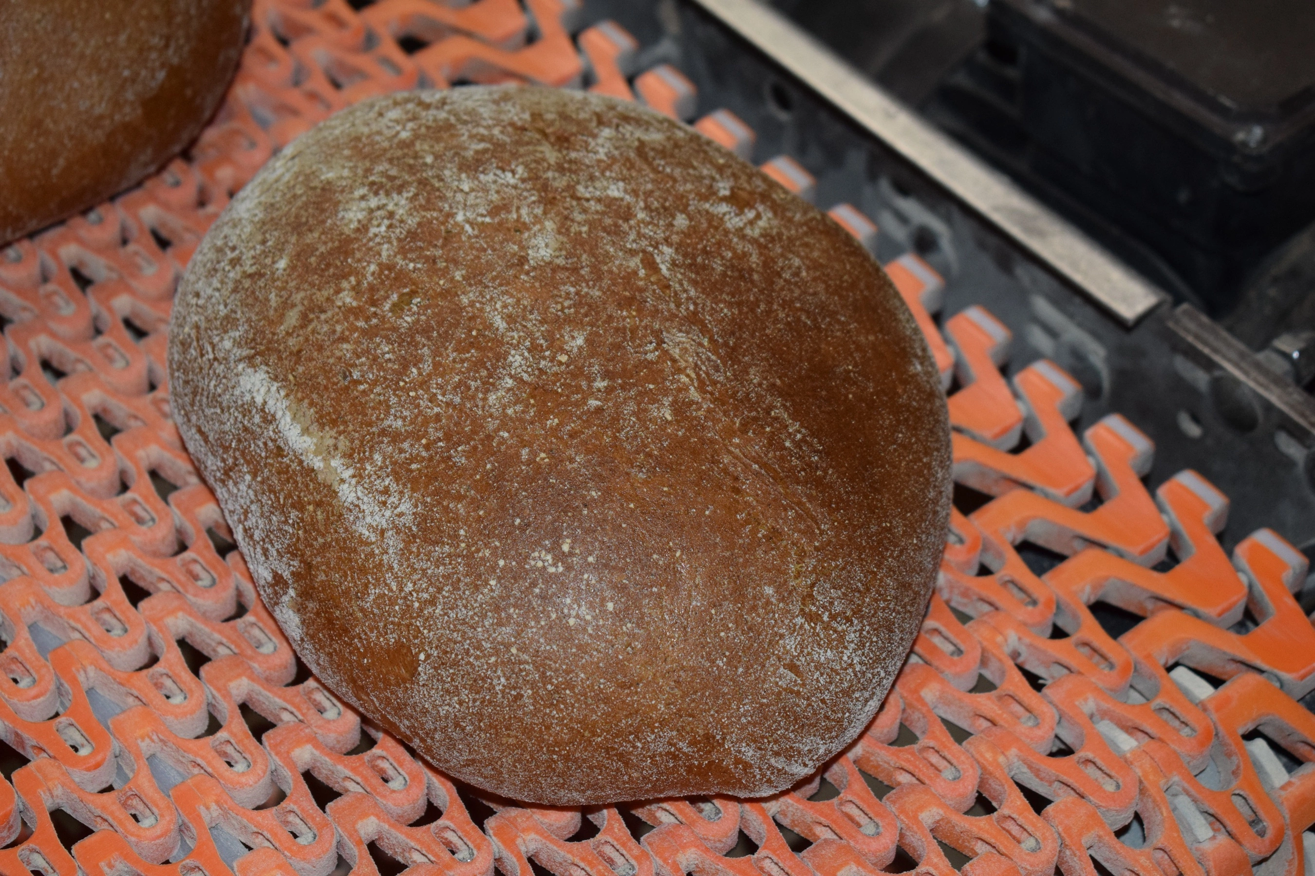 Производство ржи в России сократилось в 15 раз за последние 35 лет