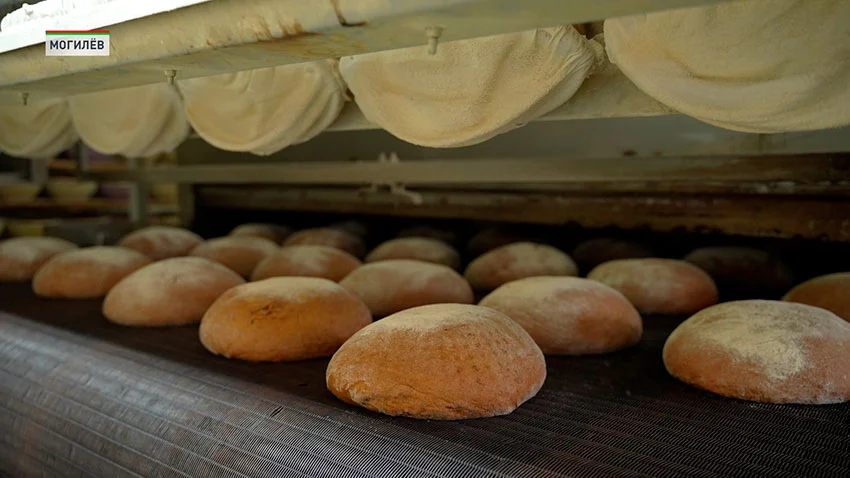 Сделано в Беларуси! За что хлеб полюбили в США, Израиле и других странах?