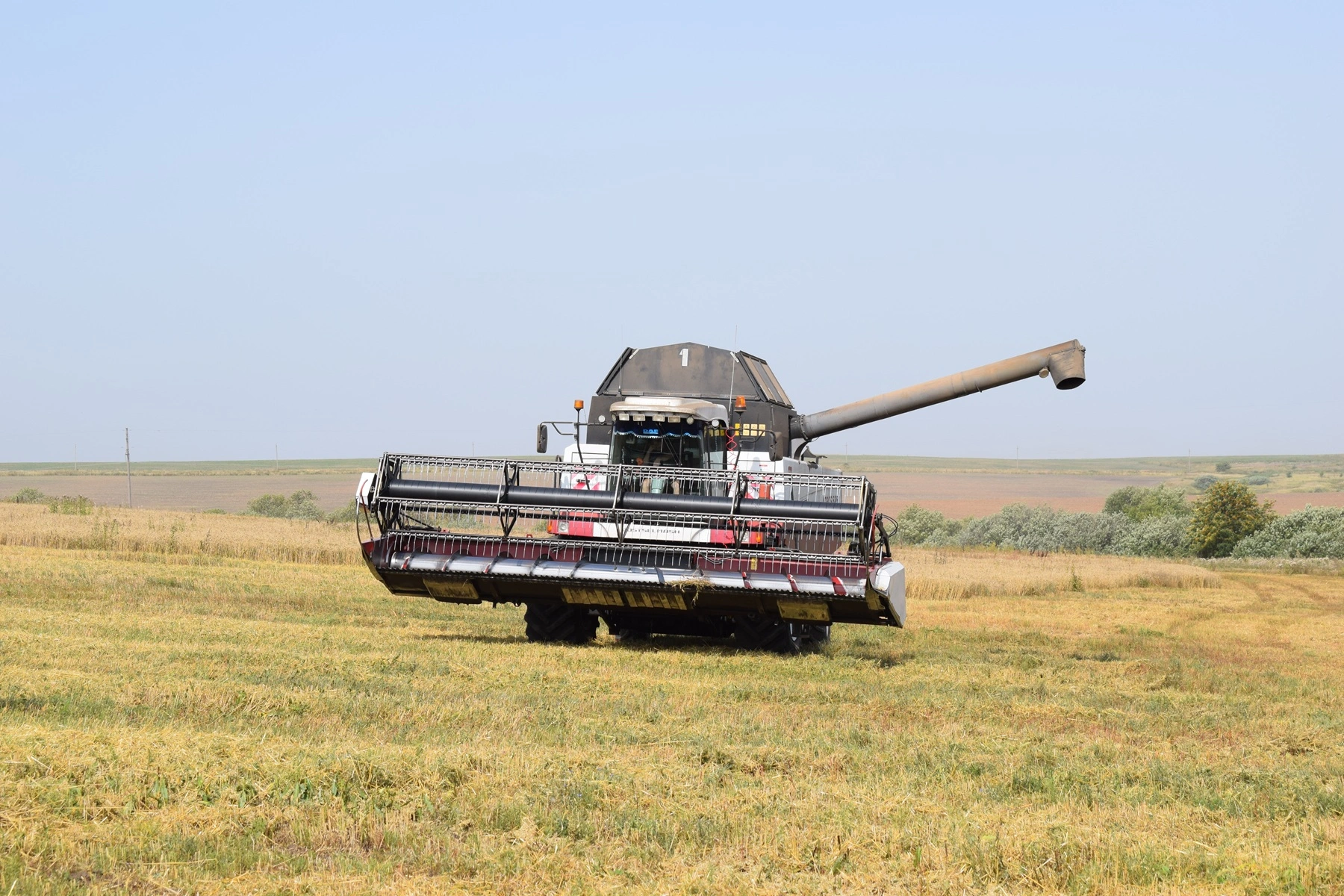 «Земля отойдет китайцам»: аграрии рассказали, что ждет сельское хозяйство в 2026 году