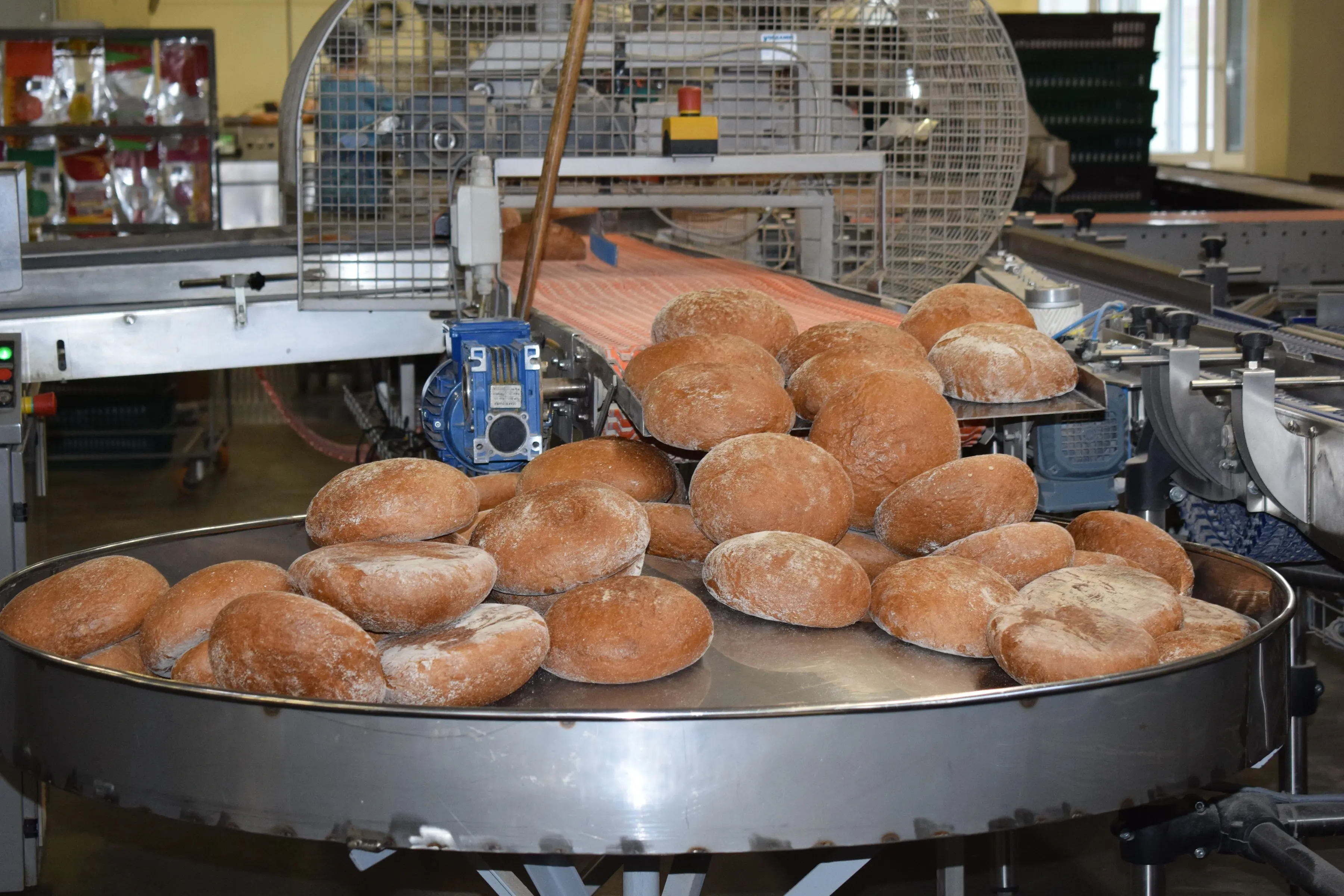 Белгородский хлебозавод восстанавливает темпы работы (Видео)