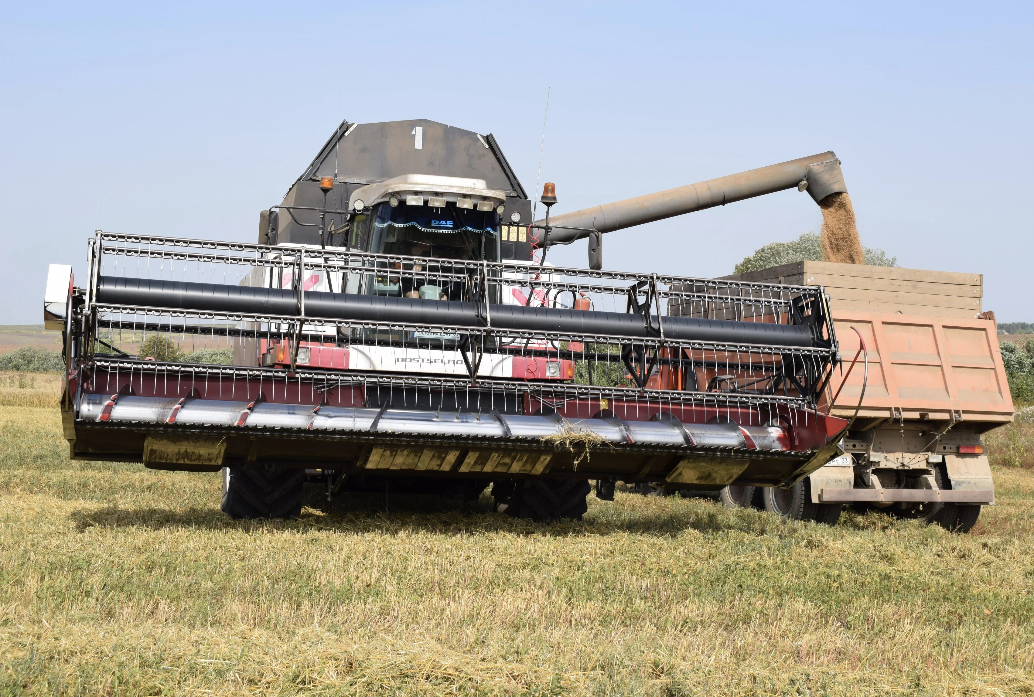 Злаки утратили твердость