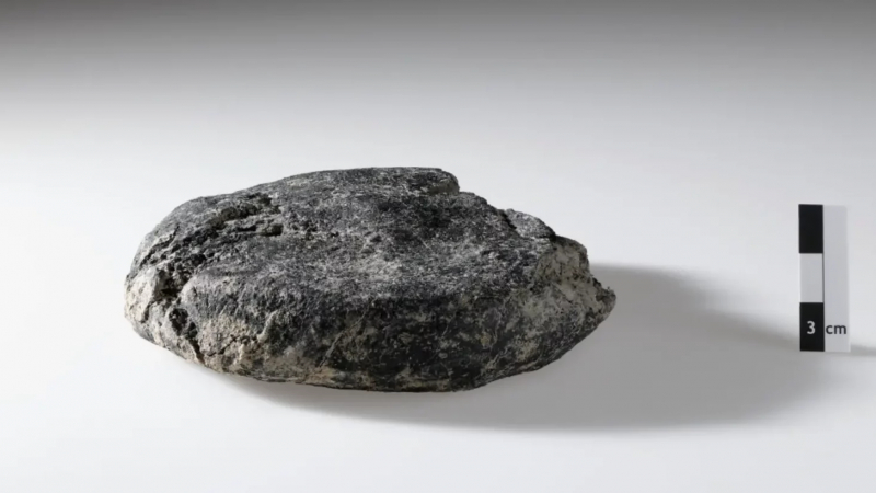 Горелый сухарь легионера: в Швейцарии нашли хлеб возрастом 2000 лет